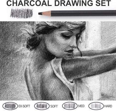 Qionew Professional Charcoal Pencils Drawing Set - 10 Pieces Super Soft, Soft, Medium & Hard Charcoal Pencils for Drawing, Sketching, Shading, Beginners & Artists in Saudi Arabia