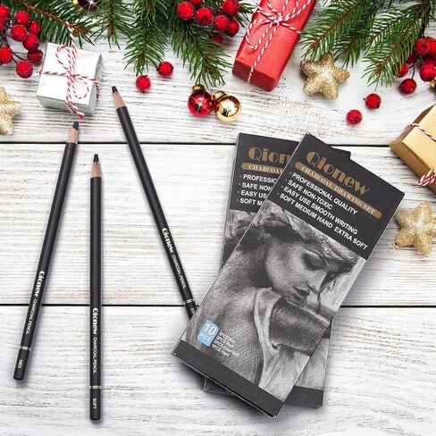 Qionew Professional Charcoal Pencils Drawing Set - 10 Pieces Super Soft, Soft, Medium & Hard Charcoal Pencils for Drawing, Sketching, Shading, Beginners & Artists in Saudi Arabia