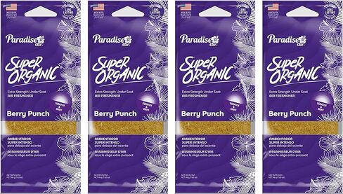 4 Pc Berry Punch Scented Car Auto Home Deodorizer Air Freshener Block Under Seat in Kuwait