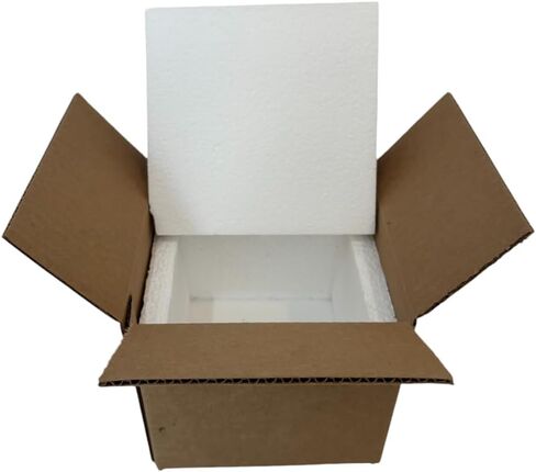 Insulated Shipping Box (7x7x6) inches with Styrofoam Insert 2 Pack Bundle for Temperature-Controlled Mailing and Shipping in Saudi Arabia