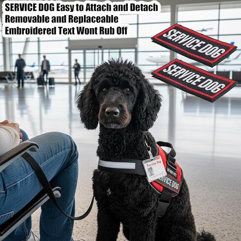 Service Dog Patches 2 PCS Removable Patches with Hook and Loop Red Border for Dog Harness Vest Collar in Training Service Dogs Emotional Support 3.62 × 1.65 inches in Saudi Arabia