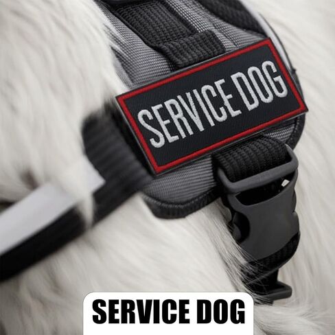 Service Dog Patches 2 PCS Removable Patches with Hook and Loop Red Border for Dog Harness Vest Collar in Training Service Dogs Emotional Support 3.62 × 1.65 inches in Saudi Arabia