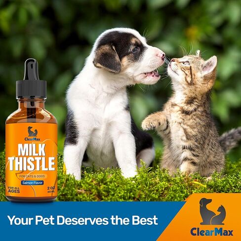 Milk Thistle for Dogs and Cats – Milk Thistle Supplement for Dogs and Cats – Kidney Support – 1 Oz in Saudi Arabia