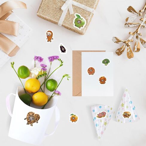 A Collection of 500 Cat Meme Stickers: Cute Cat Stickers for Bullet Journals, DIY Projects, Laptops, Water Bottles, and Suitcases in Saudi Arabia