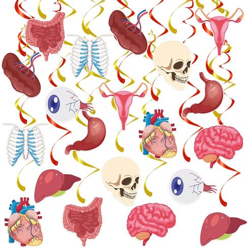 24 Pcs Anatomy Hanging Swirls Decoration, 20 Human Body Organ-Themed Ceiling Foil Swirl Ornaments with Brain, Heart, Skull, Rib Cage, Stomach & Double Swirl for Science Medical Office Graduation Decor in Saudi Arabia