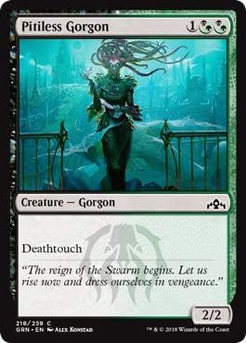 Pitiless Gorgon in Kuwait