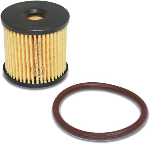 QFS Fuel Filter Kit for 2007-2024 Harley-Davidson Touring Models, Replaces 61011-04A, 62229-08B, Protects Fuel System from Debris in Kuwait