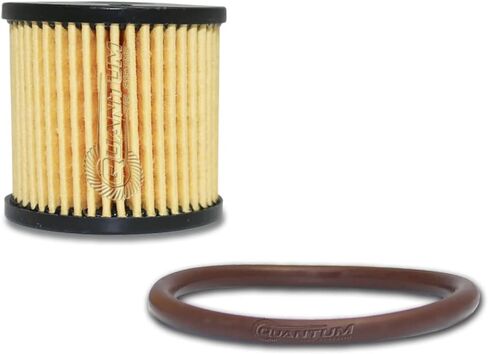 QFS Fuel Filter Kit for 2007-2024 Harley-Davidson Touring Models, Replaces 61011-04A, 62229-08B, Protects Fuel System from Debris in Kuwait