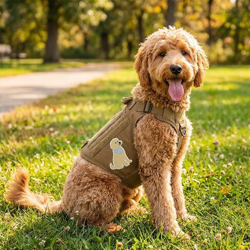 3'' Goldendoodle Dog Blue Bandana Puppy Embroidered Iron on Patch in Kuwait