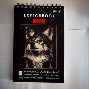 Prina Sketchbook Drawing Art Paper, Top Spiral Bound Sketch Pad, 50 Sheets 68lb/100gsm Acid-Free Drawing Paper, Art Sketchbook for Drawing Pad for Artists & Beginners and Adults, 6" x 9" in Saudi Arabia