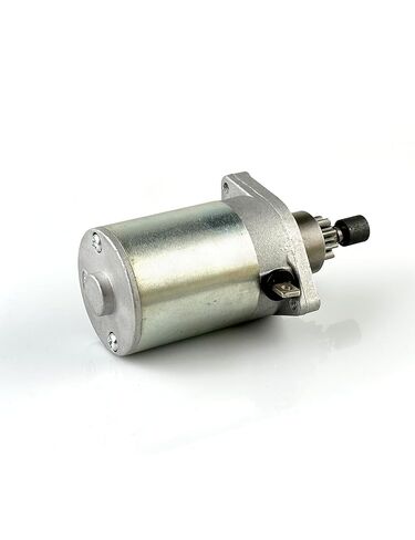 83.125100.01 Starter Motor for Champion 100396 100477 100261 100262 100263 100204 73001i-P 75537i Dual Fuel Inverter Generators Yamaha MZ175 Small Engine in Saudi Arabia