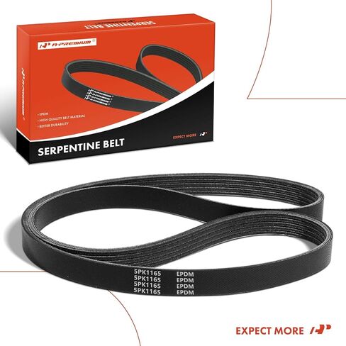 A-Premium Serpentine Belt 45.85 In For BMW 850Ci 1995, 850CSi 1995 & Audi RS4 2007-2008 & Ford Probe 1993-1997 & Mazda 626 1999, Protege 1999-2003 in Kuwait