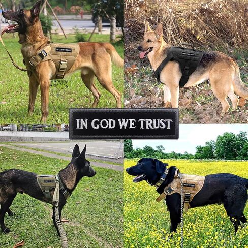 2 Pcs Funny Hook and Loop Patch - in GOD We Trust, Military Tactical Embroidered Morale Badge for Tactical Backpacks, Army Vests, Dog Harnesses, Service Animal Vests, Jackets, Jeans, Hats, Helmets in Kuwait