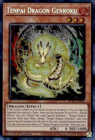 Tenpai Dragon Genroku - MP25-EN082 - Prismatic Secret Rare - 1st Edition in Kuwait