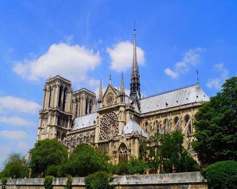 XTXGERL Notre Dame de Paris France Painting by Numbers DIY Unique Canvas Oil Painting Kit Digital Painting 16x20 in in Saudi Arabia
