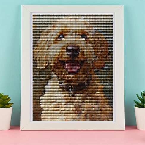 مجموعات غرز متقاطعة مختومة من KFBXZIP، مجموعة أدوات تطريز الكلاب Goldendoodle للمبتدئين البالغين، مجموعات غرز متقاطعة لطيفة للكلاب للبالغين 11 قيراط، 12 × 16 بوصة in Saudi Arabia