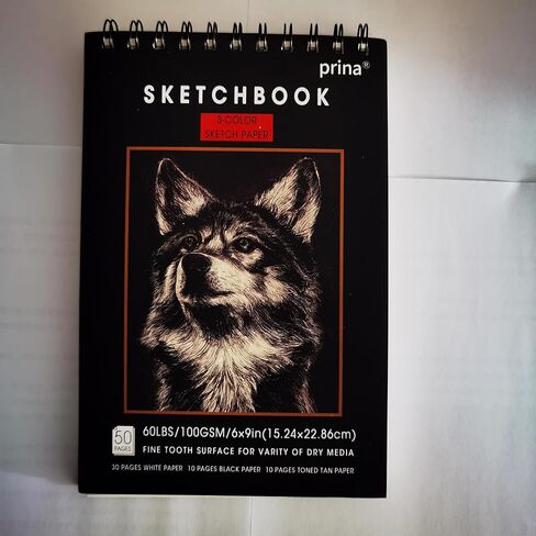 Prina Sketchbook Drawing Art Paper, Top Spiral Bound Sketch Pad, 50 Sheets 68lb/100gsm Acid-Free Drawing Paper, Art Sketchbook for Drawing Pad for Artists & Beginners and Adults, 6" x 9" in Saudi Arabia