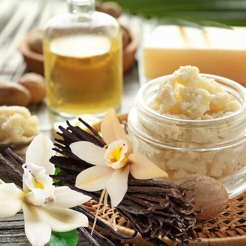 Shea Butter & Warm Vanilla Type Fragrance Oil (Our Version of The Brand Name) (8 oz Bottle) for Candle Making, Soap Making, Tart Making, Room Sprays, Lotions, Car Fresheners, Slime, Bath Bombs in Kuwait