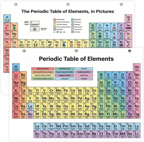 JELLY BEAN GENIUS Periodic Table of Elements Reference Chart – Laminated, Double-Sided 3-Ring Binder Insert (8.5 x 11 Inches) – Color-Coded Chemistry Table with Pictures for Classroom, Middle School & Homeschool in Saudi Arabia