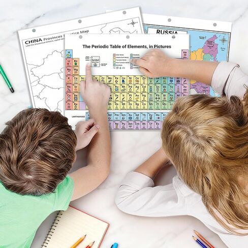 JELLY BEAN GENIUS Periodic Table of Elements Reference Chart – Laminated, Double-Sided 3-Ring Binder Insert (8.5 x 11 Inches) – Color-Coded Chemistry Table with Pictures for Classroom, Middle School & Homeschool in Saudi Arabia