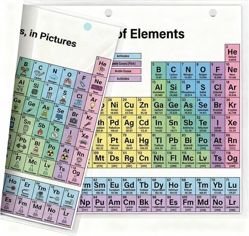 JELLY BEAN GENIUS Periodic Table of Elements Reference Chart – Laminated, Double-Sided 3-Ring Binder Insert (8.5 x 11 Inches) – Color-Coded Chemistry Table with Pictures for Classroom, Middle School & Homeschool in Saudi Arabia