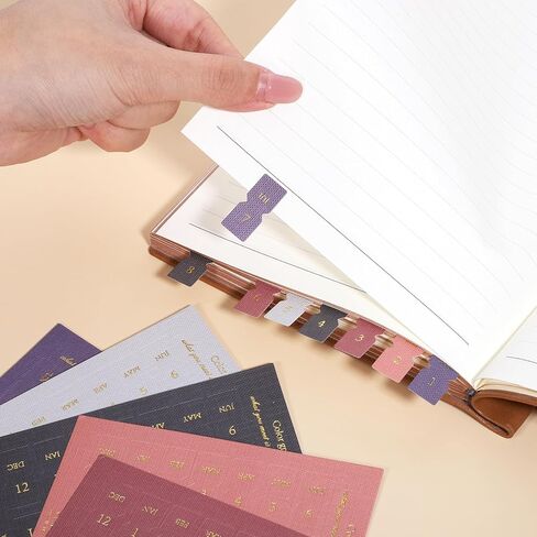 10 Sheets Monthly Tabs, Self Adhesive Planner Month Tabs Colorful Planner Monthly Index Tab Month Separator Tab Calendar for Planners Office Study Journal Agendas in Kuwait