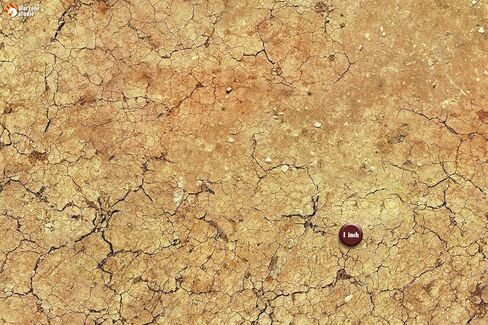 Warzone Studio 4' x 4' Mouse Pad Rubber Battle Mat: Saraha + Bag in Saudi Arabia