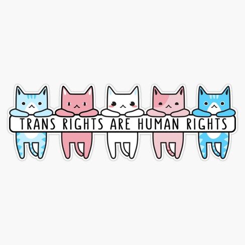 Magnet Transgender Flag Color Cats: Trans Rights are Human Rights Magnetic Vinyl Sticker 5" in Kuwait