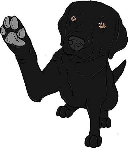 MAGNET Give me Paw - - Black Lab Magnetic Car Sticker Decal Refrigerator Metal Magnet Vinyl 5" in Kuwait