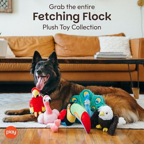 P.L.A.Y. PET LIFESTYLE AND YOU P.L.A.Y, Fletching Flock Tito The Toucan Plush Dog Toy in Saudi Arabia