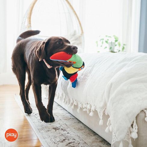 P.L.A.Y. PET LIFESTYLE AND YOU P.L.A.Y, Fletching Flock Tito The Toucan Plush Dog Toy in Saudi Arabia