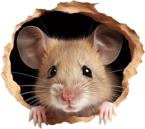 3D Field Mouse Hole Sticker 2-Pack Waterproof Vinyl for Car Laptop Window Suitcase Wall Base Furniture Cute Decoration in Children's Room PDLS-1 in Saudi Arabia