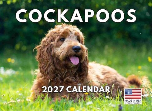 Cockapoo Calendar 2025 Monthly Wall Calender | American Made In The USA in Saudi Arabia