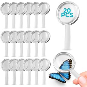 20 Pcs Mini Magnifying Glass Bulk Size 2.36" x 1.18" – 3X Plastic Small Magnifying Glass – Lightweight, Durable, Impact-Resistant | Usable for Clear Vision, Easy Use, Portable Ideal for Everyday Carry in Kuwait