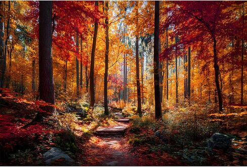 Jigsaw Puzzles for Adults 1000 Pieces Puzzles Impossible Hard Difficult Challenging Puzzles for Teens Autumn Maple Leaves Forest Tree Landscape Jigsaw Puzzle 1000 Pieces 28 x 20 inch in Saudi Arabia