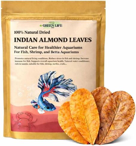 Premium Indian Almond Leave. Catappa Leaves Rich in Tannin. Awsome Aquarium Decorations (Large). 50 Leaves 10-12 inchs. in Saudi Arabia