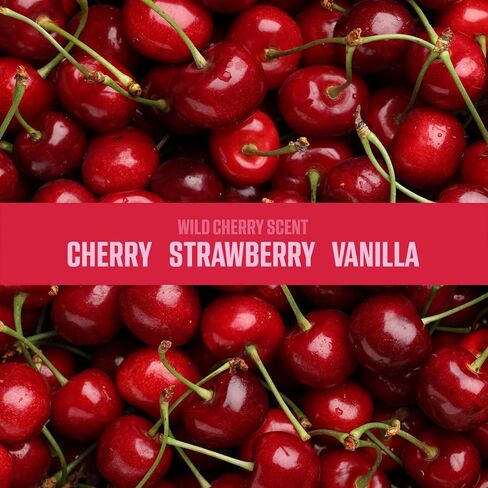 Ozium Fogger Single Shot 2 oz Air Freshener for Car Home Office Wild Cherry in Saudi Arabia