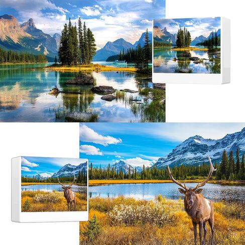 Jigsaw Puzzles 2 Pack 1000 Pieces Colosseum & Trevi Fountain Nature Impossible Challenging Puzzles for Home Decor Birthday Gifts Toy for Men Women in Saudi Arabia