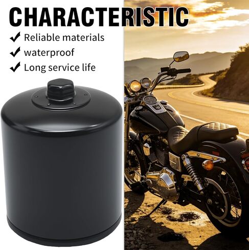 فلتر زيت الدراجة النارية KN171B، بديل لـ Harley Davidson Road Glide 1998-2021، Harley Davidson Fat Boy 2000-2021، يستبدل KN-171B (قطعتان) in Kuwait