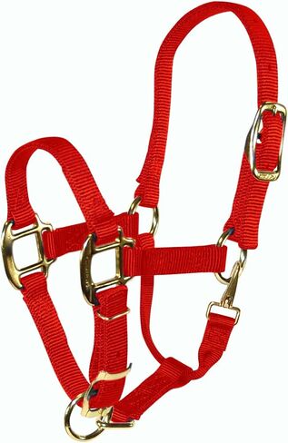 Hamilton Adjustable Quality 3/4-Inch Weanling Halter with Snap, 200 to 300-Pound Horse, Red in Saudi Arabia