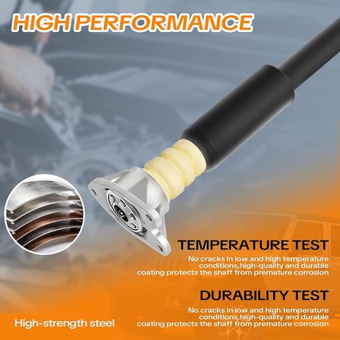قطعتان من مجموعة دعامة ممتص الصدمات الخلفية متوافقة مع 2016-2022 BMW F48 X1 [sDrive, xDrive28i] تحل محل OE 33526882851، 33506886762، 33526861670 in Kuwait