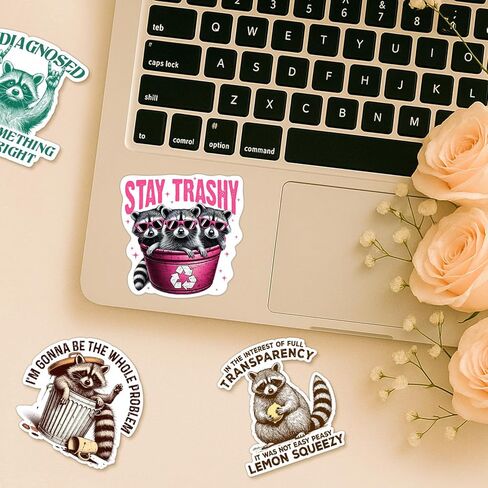 (4 Pcs) Funny Raccoon Sticker – Raccoon Gift, Stay Trashy, Sarcastic Humor Sticker for Laptop, Water Bottle, Phone, Journaling, Hard Hat, Car Bumper in Saudi Arabia