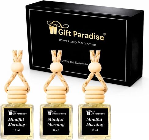 Gift Paradise® Seaside Plumeria Car Air Freshener Set of 3 with Magnetic Gift Box, 10 ml Hanging Diffuser Bottles with Wooden Cap, Tropical Floral Beach Scent for Car, Home & Closet in Saudi Arabia