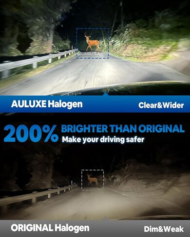 H1 Halogen Headlight/Fog Light 12V 100W White 5000K High/Low Beam Super Bright, 2 pack in Saudi Arabia