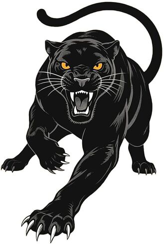 2 Pack Dark Panther Vinyl Decal - Sleek Gloss Black Car Sticker for Window, Motorcycle, Helmet - Waterproof Removable for Laptop & Truck Z-109 in Saudi Arabia