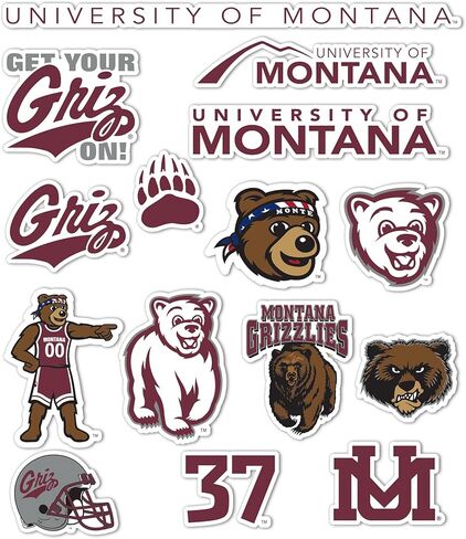 Desert Cactus University of Montana Sticker Grizzlies UM Griz UMont Stickers Vinyl Decals Laptop Water Bottle Car Scrapbook (Type 2) in Saudi Arabia