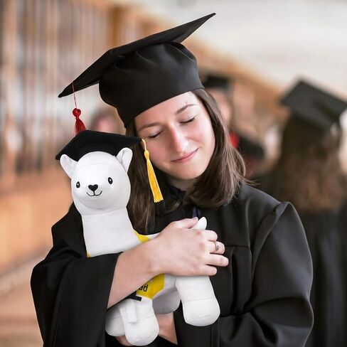 Zomiboo التخرج توقيعه الألبكة الحيوان المحشو 12 بوصة 2026 نسيج ناعم محشوة لعبة الألبكة مع Congrats Grad قطيفة توقيع الحيوان مع قلم تحديد أسود لحفلة طلاب الدراسات العليا in Kuwait