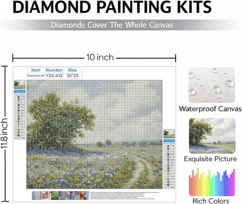 FOPENEM Wildflower Meadow Diamond طقم الطلاء للبالغين المبتدئين 9.8x11.8 بوصة، الريف Cottagecore المناظر الطبيعية جوهرة الماس اللوحة الفنية مجموعات لديكور جدار المنزل in Kuwait
