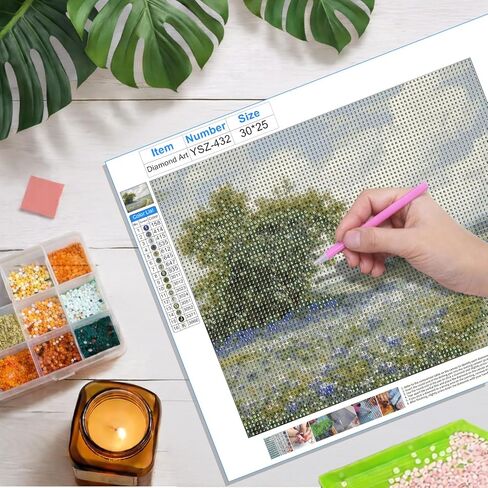 FOPENEM Wildflower Meadow Diamond طقم الطلاء للبالغين المبتدئين 9.8x11.8 بوصة، الريف Cottagecore المناظر الطبيعية جوهرة الماس اللوحة الفنية مجموعات لديكور جدار المنزل in Kuwait