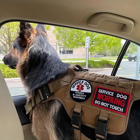 2 Packs Anxiety Response Service Dog Patch - Round 3.15 inch Embroidered Hook & Loop Patches, EMS Psychiatric Service Dog Patch Emblem Badge for Small/Large Dog Vests in Saudi Arabia